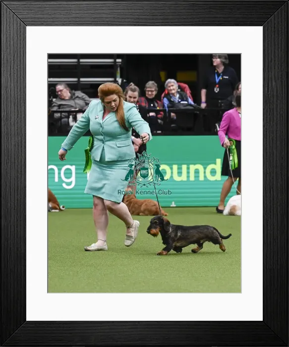 Framed Print : Rosin Howlett, from Hampsire, with Harry Framed Print : Rosin Howlett, from Hampsire, with Harry