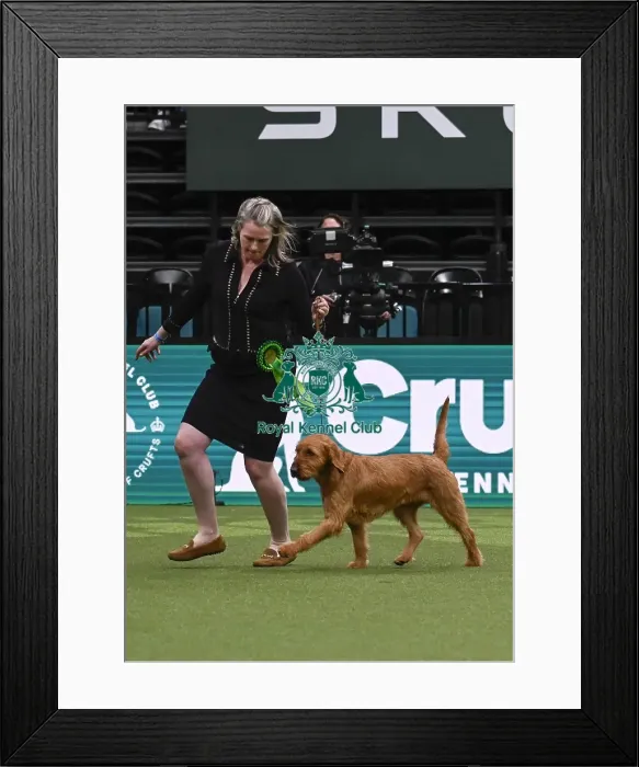 Framed Print : Claire Cooper, from Northamptonshire