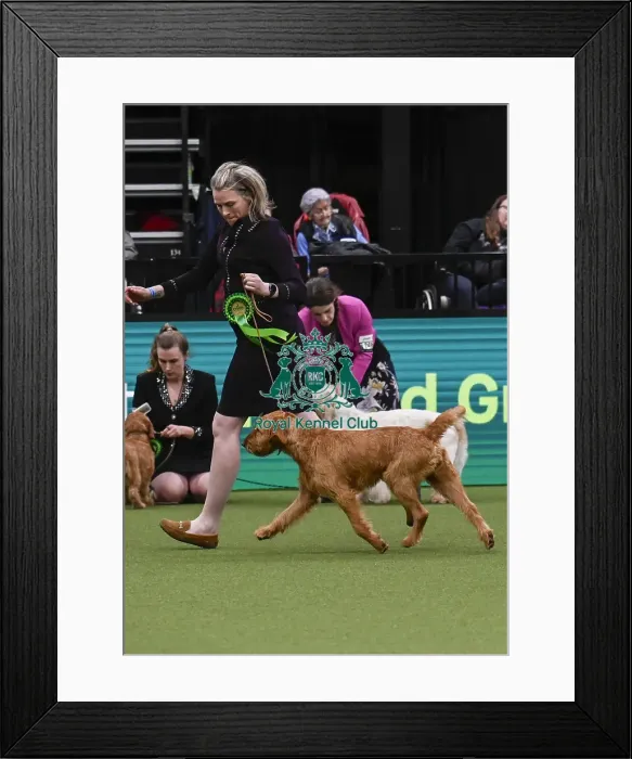 Framed Print : Claire Cooper, from Northamptonshire Framed Print : Claire Cooper, from Northamptonshire