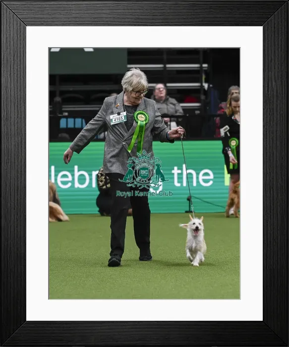 Framed Print : Susan Bruntle, from Sussex, with Treacle Framed Print : Susan Bruntle, from Sussex, with Treacle