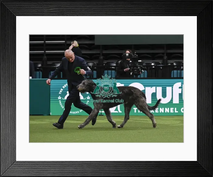 Framed Print : Roger Tebbutt from Angelesey, with Tozie Framed Print : Roger Tebbutt from Angelesey, with Tozie