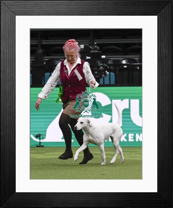 Framed Print : Charlotte Farrar, from Somerset Framed Print : Charlotte Farrar, from Somerset