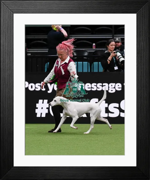 Framed Print : Charlotte Farrar, from Somerset