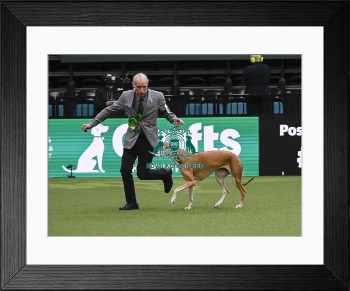 Framed Print : Robert Newsham, from Rochdale, with Elena