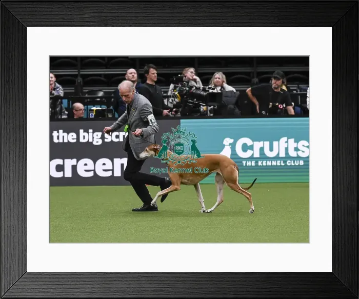 Framed Print : Robert Newsham, from Rochdale, with Elena