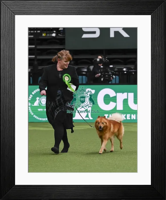 Framed Print : Abby Rolph, from Sommerset, with Thunder Framed Print : Abby Rolph, from Sommerset, with Thunder