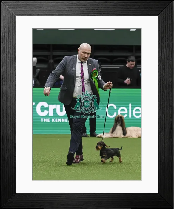 Framed Print : Martin McDonnell, from Nothern Ireland