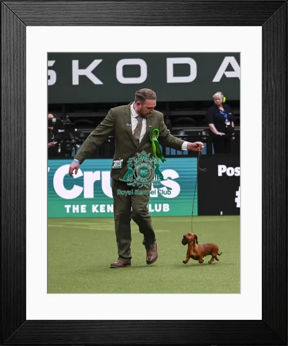 Framed Print : Gary Carroll, from Liverpool, with Mandy Framed Print : Gary Carroll, from Liverpool, with Mandy