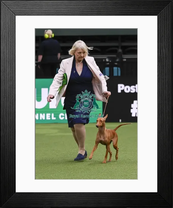 Framed Print : Michelle Farley, from Devon, with Fee Framed Print : Michelle Farley, from Devon, with Fee