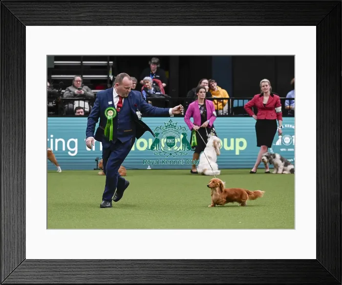 Framed Print : Martin McDonnell, from Nothern Ireland Framed Print : Martin McDonnell, from Nothern Ireland