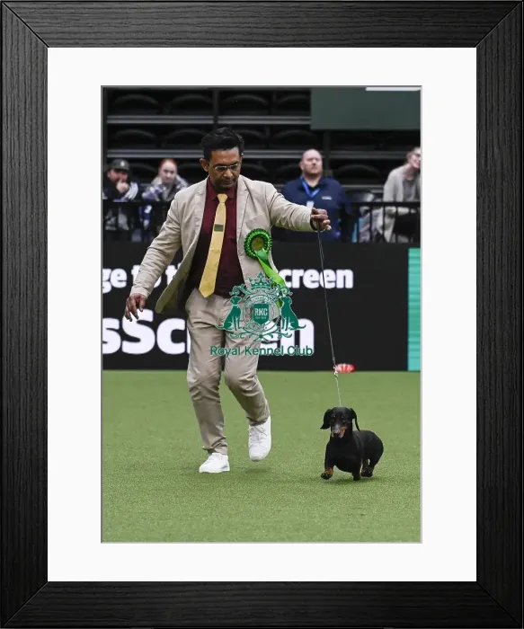 Framed Print : Dr M.Chauhan, from Birmingham, with Fern Framed Print : Dr M.Chauhan, from Birmingham, with Fern