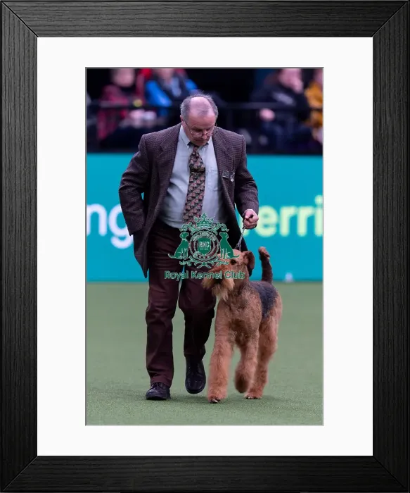 Framed Print : Julie Brown, from Selsey, with Herbie