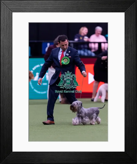 Framed Print : Ivan Calleja, from Malta, with Nano Framed Print : Ivan Calleja, from Malta, with Nano