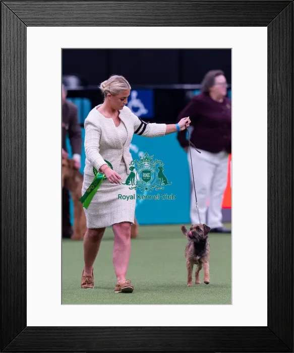 Framed Print : Lauren Goddard, from West Sussex Framed Print : Lauren Goddard, from West Sussex