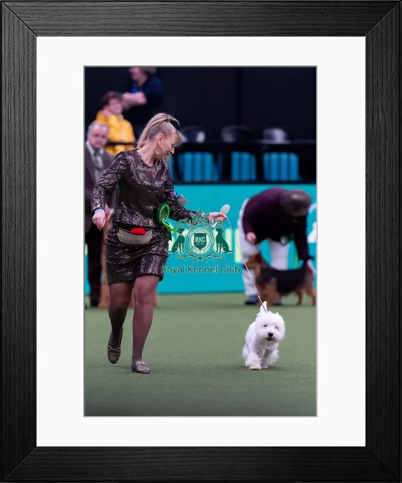 Framed Print : Shirley Van Der Veen, from Holland