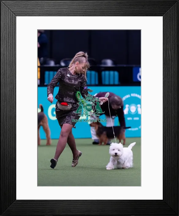 Framed Print : Shirley Van Der Veen, from Holland