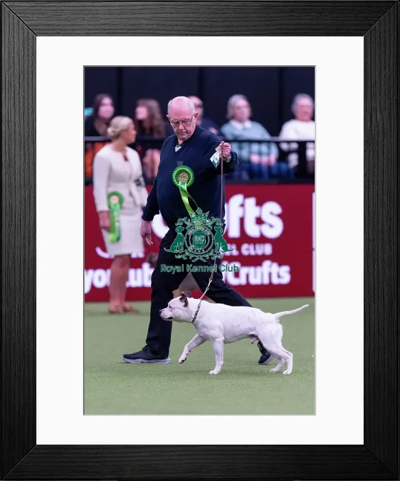 Framed Print : Steve Halifax, from Doncaster, with Rio Framed Print : Steve Halifax, from Doncaster, with Rio