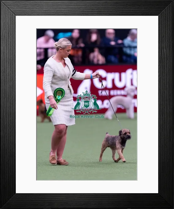 Framed Print : Lauren Goddard, from West Sussex Framed Print : Lauren Goddard, from West Sussex