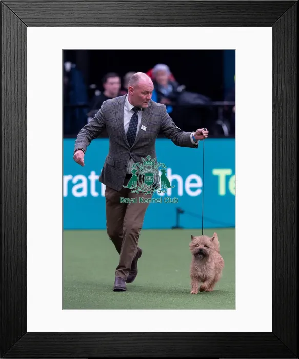 Framed Print : Elizabeth Theodorsson and Magnus Hoff