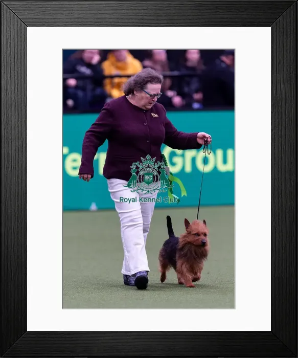 Framed Print : Ruth Jones, from Bouthwells, with Blake Framed Print : Ruth Jones, from Bouthwells, with Blake