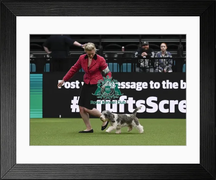 Framed Print : Lizzie Cadmore, from Somerset, with Splash Framed Print : Lizzie Cadmore, from Somerset, with Splash