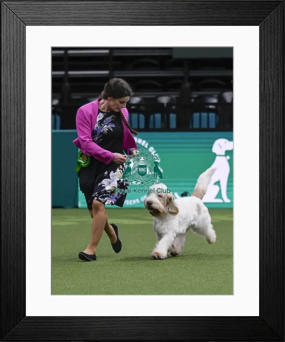 Framed Print : Anouk Hikeshoven, from the Netherlands Framed Print : Anouk Hikeshoven, from the Netherlands