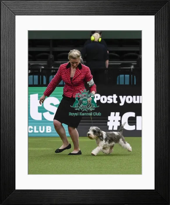 Framed Print : Lizzie Cadmore, from Somerset, with Splash Framed Print : Lizzie Cadmore, from Somerset, with Splash