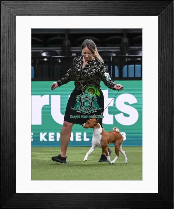 Framed Print : Martyna Domin, from Poland, with Ciastek Framed Print : Martyna Domin, from Poland, with Ciastek