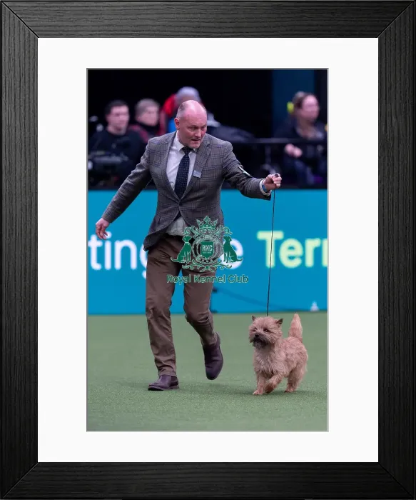 Framed Print : Elizabeth Theodorsson and Magnus Hoff Framed Print : Elizabeth Theodorsson and Magnus Hoff