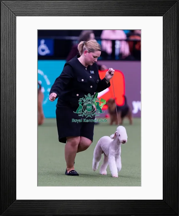 Framed Print : Nina Odehage, from Sweden, with Kit