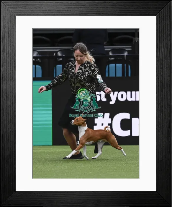 Framed Print : Martyna Domin, from Poland, with Ciastek Framed Print : Martyna Domin, from Poland, with Ciastek