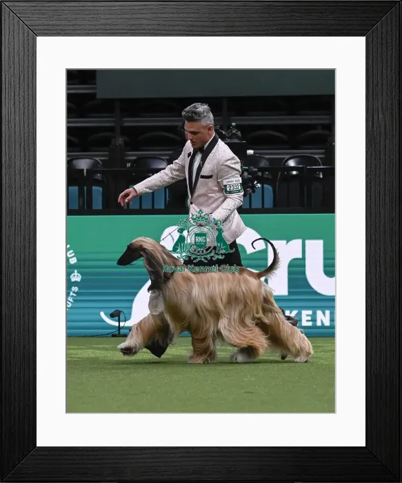 Framed Print : Willy Santiago, from Miami, USA Framed Print : Willy Santiago, from Miami, USA