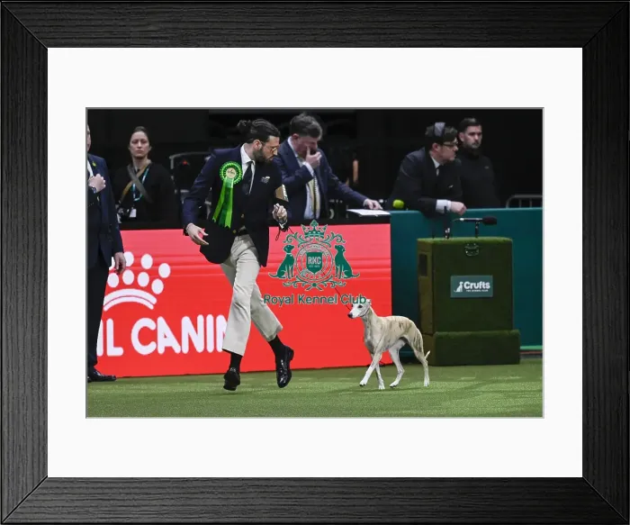 Framed Print : Giovanni Liguori, from Italy, with Miuccia Framed Print : Giovanni Liguori, from Italy, with Miuccia