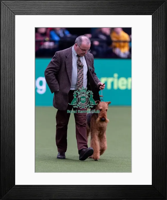 Framed Print : Julie Brown, from Selsey, with Herbie