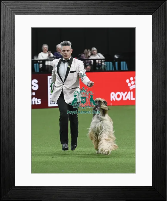 Framed Print : Willy Santiago, from Miami, USA