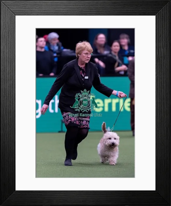 Framed Print : Suzanne Williams, from Sweden, with Tracker