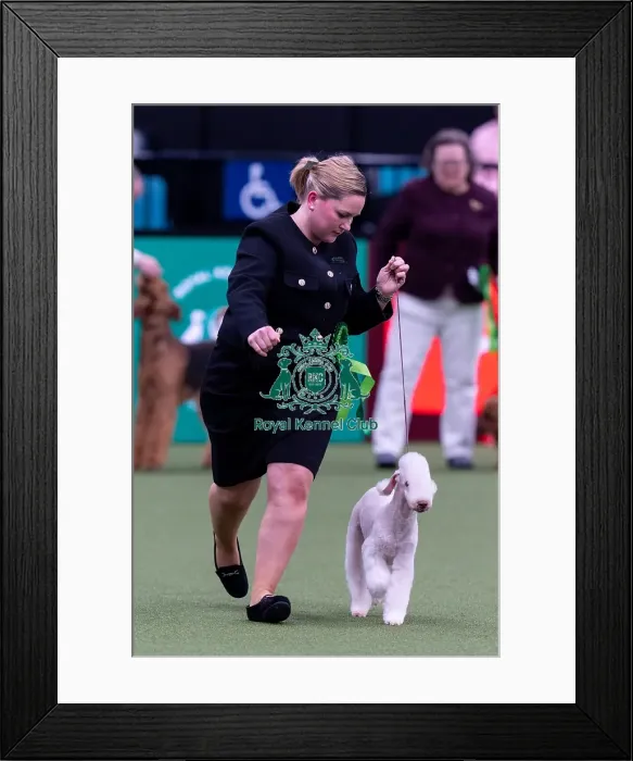 Framed Print : Nina Odehage, from Sweden, with Kit