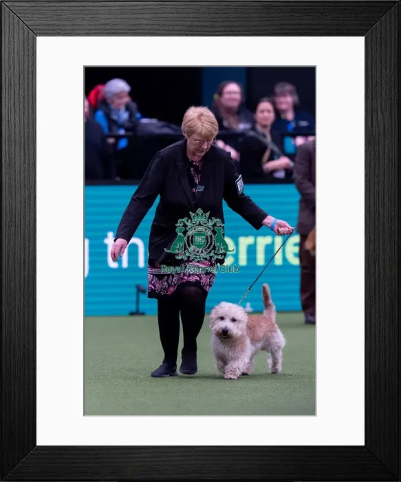 Framed Print : Suzanne Williams, from Sweden, with Tracker