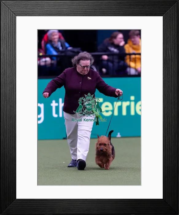 Framed Print : Ruth Jones, from Bouthwells, with Blake Framed Print : Ruth Jones, from Bouthwells, with Blake