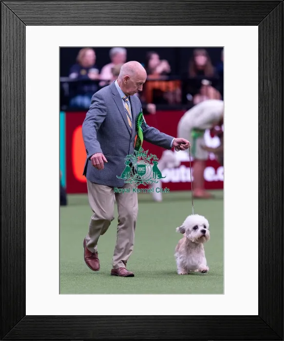Framed Print : Geoff Corish, from Somerset, with Sunny Framed Print : Geoff Corish, from Somerset, with Sunny