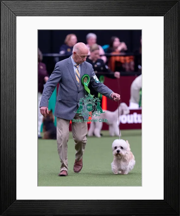 Framed Print : Geoff Corish, from Somerset, with Sunny Framed Print : Geoff Corish, from Somerset, with Sunny
