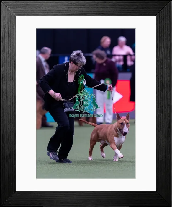 Framed Print : Tracey Fletcher, from Chesterfield Framed Print : Tracey Fletcher, from Chesterfield