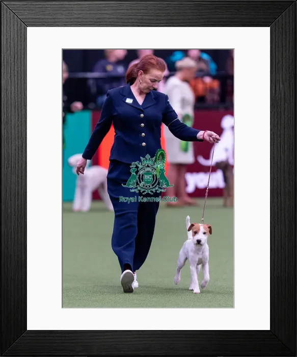 Framed Print : Drita Manson, from Ireland, with Bullet Framed Print : Drita Manson, from Ireland, with Bullet
