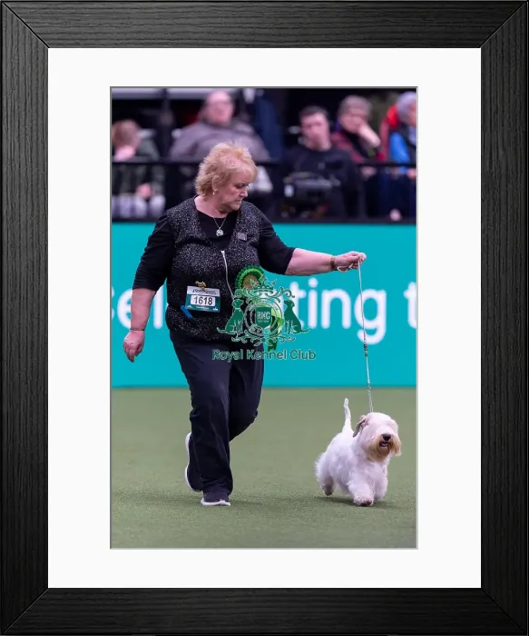 Framed Print : Denise Bettis, from Bewdly, with Flanna Framed Print : Denise Bettis, from Bewdly, with Flanna