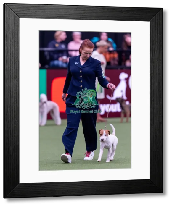 Framed Print : Drita Manson, from Ireland, with Bullet