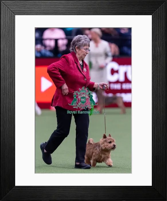 Framed Print : Lesley Crawley from Doncaster with Rowley