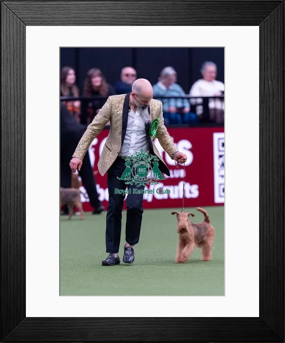 Framed Print : David Valli, from Italy, with Freddie