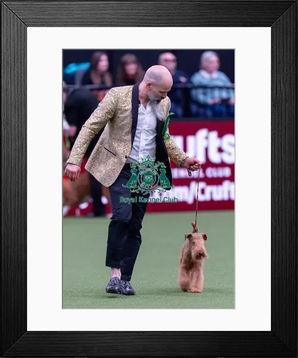 Framed Print : David Valli, from Italy, with Freddie Framed Print : David Valli, from Italy, with Freddie