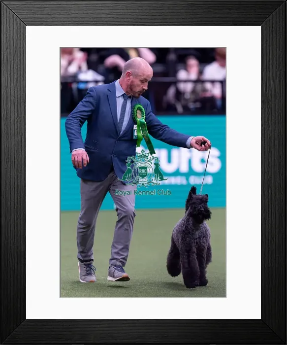 Framed Print : Philip Obrien, from Czech Republic Framed Print : Philip Obrien, from Czech Republic