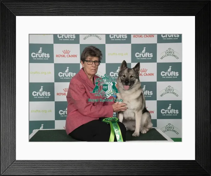 Framed Print : Sally Simmonds, from Welshpool